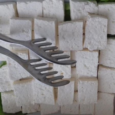 Garni Hotel Crystal Ice Ni Eksteriør billede